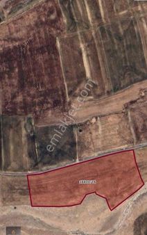 Konya Meram Kayhüyük Mevki 2 Tane 1228 M2 Tapulu Bahçe