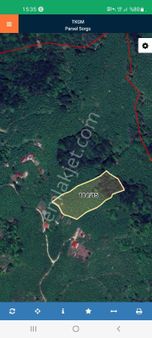 Giresun/piraziz Satılık 8679m2 Fındık Bahçesi