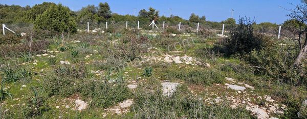 Satılık Arsa Didim Bozseki