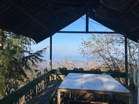 Trabzon Arsin'de Satılık Arsa