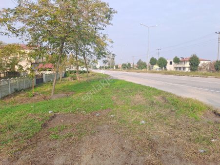 Alibey'den Samsun Ordu Karayoluna Cephe 2600m2 Ticari İmarlı Arsa