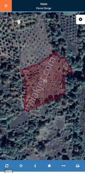 Bursa Karacabey Yarışta Yolu Olan 6.4 Dönüm Manzaralı Tarla