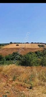 Karacabey Okçularda Fırsat Satılık 9.5 Dönüm Tarla