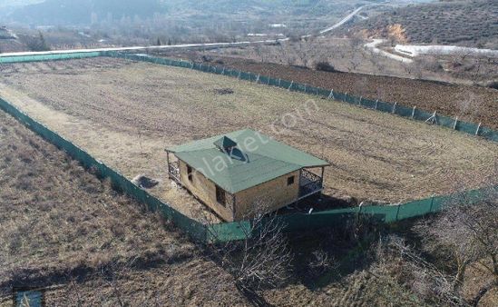 Bilecik Merkezde 4.5 Dönüm Yola Sıfır Tarla Ve Evi