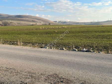Satılık Uygun Fiyata Tarla