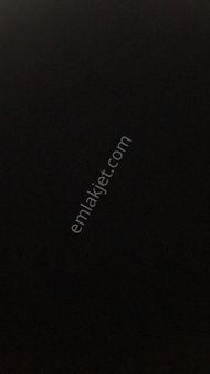 Başlamış Da Satılık Satsuma - Mandalina Bahçesi