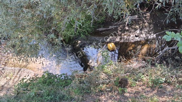 Hazır Bahçe,müstakil Tapu,24 Saat Bedava Sulama