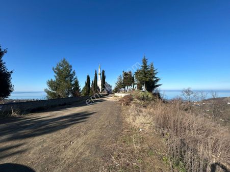 Premar Gayrimenkulden Satılık Arazi-trabzon/vakfıkebir/yalıköy