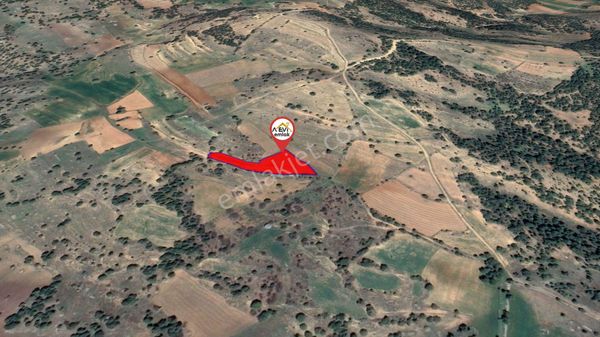 Afyonkarahisar-başmakçı-çığrı-satılık 3383m2-tarla