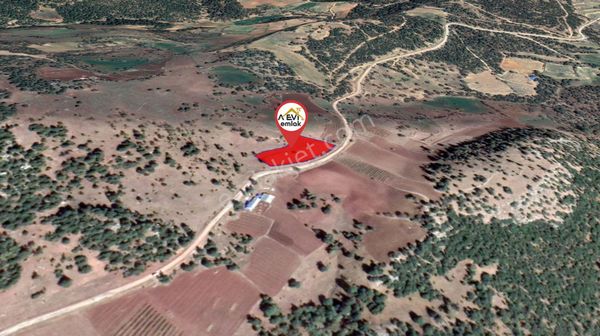 Afyonkarahisar-başmakçı-çığrı-satılık 3176m2-tarla