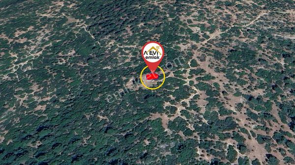 Aydın / Çine / Kavşit Satılık 163m2 Ağıl