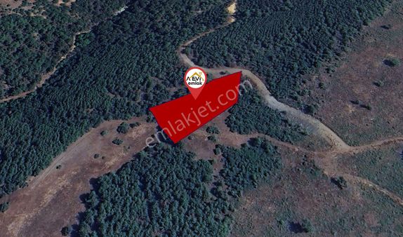 Balıkesir Sındırgı Karacalar Satılık 4113m2 Tarla