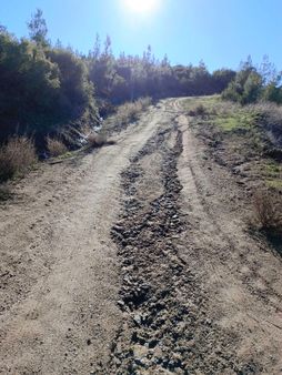 Aydın Yenipazar Karaçakal Mah Satılık