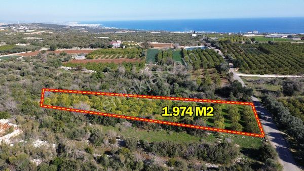 Erdemli Batısandal 1974 M2 Köy İçi Satılık Arsa