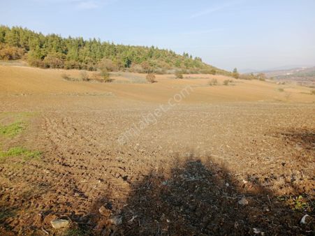 Tek Tapu Satılık Yatırımlık Tarla