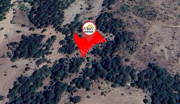 Balıkesir Sındırgı Şahinkaya Satılık 1681m2 Tarla