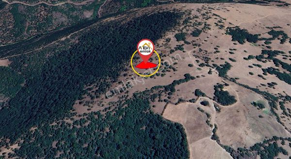 Balıkesir Sındırgı Şahinkaya Satılık 818m2 Tarla