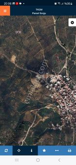 Bursa Orhangazi Sölöz Mahallesinde Satılık Zeytinlik