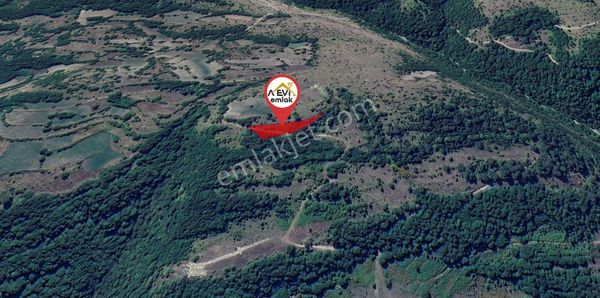 Bolu Mudurnu Dereköy Satılık Tarla 4113m2