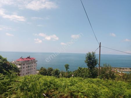 Rize Çayeli Taş Hanede Satılık Deniz Manzaralı Arsa