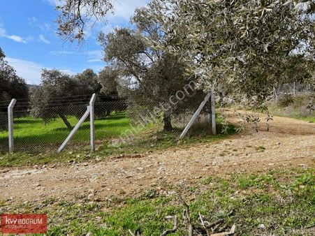Yol Su Elektrik Var Satılık Tarla Bodrum'a 15 Dk