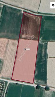 Satılık Tarla Sarayköy Duacılı Mevkisinde