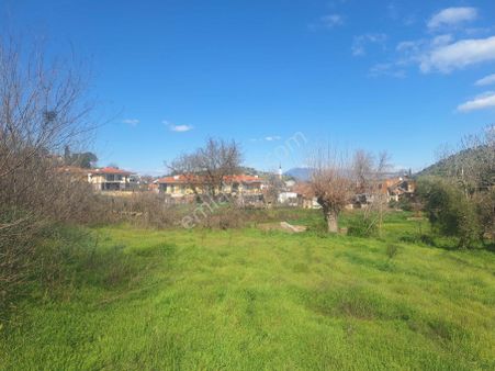 Aydın Koçarlı Çakırbeyli De Satılık 671 M2 İmarlı Arsa