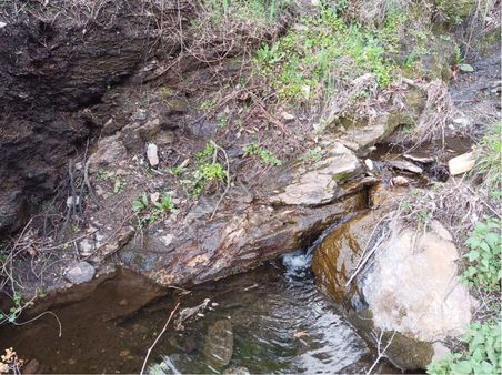 Bahçe Tapulu Zeytinlik