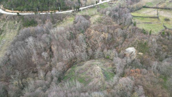 Kocaeli Karamürsel Senaiye Satılık Tarla 3193 M2