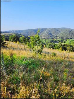 Aslion Gayrimenkulden Yatırımlık Tarla