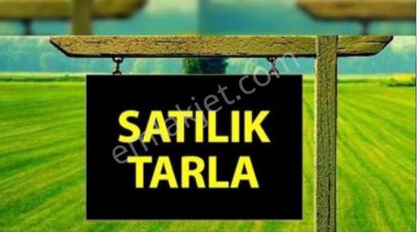 Ankara Polatlı'da Yatırımlık 26.292 M2 Tek Tapu Satılık Tarla