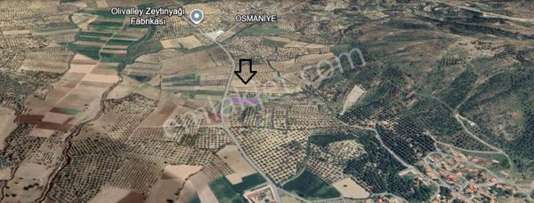 Ayvalık Yeniköy Türközü Arasında 4723 M2 Tarla