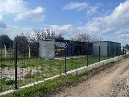 Urla Kuşçular'da 432m2 Tarla