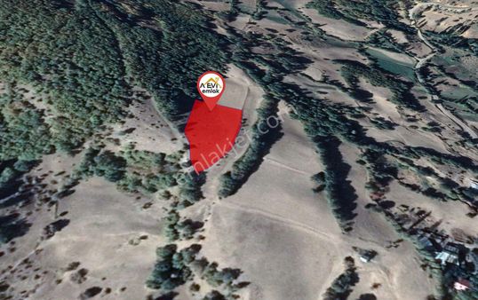 Sivas Suşehri Tatar Satılık 2943m2 Tarla