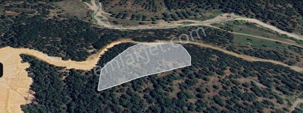 Ayvalık Çamoba Satılık Villa İmarlı Arsa