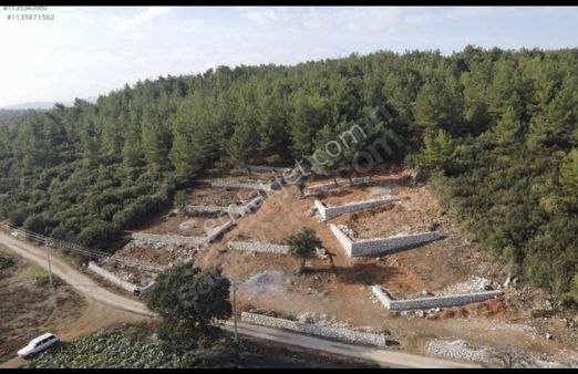 Erbaş Gayrimenkul Den Satılık Hisse Tapu Bahçeler..