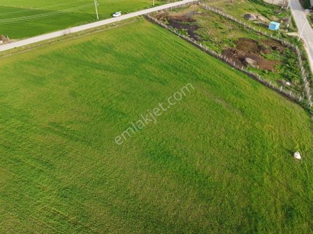 Erbaş Gayrimenkul Den Satılık Tek Tapu Tarla