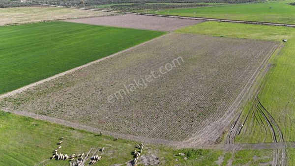 Süleymanlı Mah. Şirinköy Villaları Arkası Satılık 17.750 M² Tarla