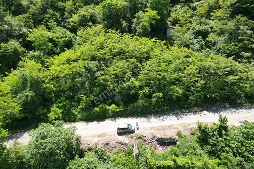 Trabzon Maçka Güney'de Doğa Manzaralı Satılık Arsa