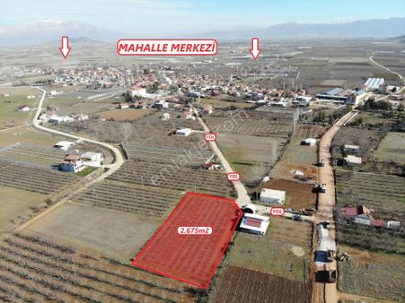 Elmalı Zümrütova Mahalle Merkezinde Kadastrol Yola Cephe 2.765m2 Satılık Elma Bahçesi