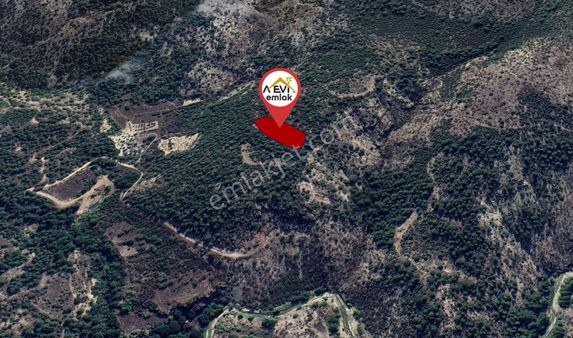 Bilecik-inhisar-harmanköy-satılık 3115m2 Tarla