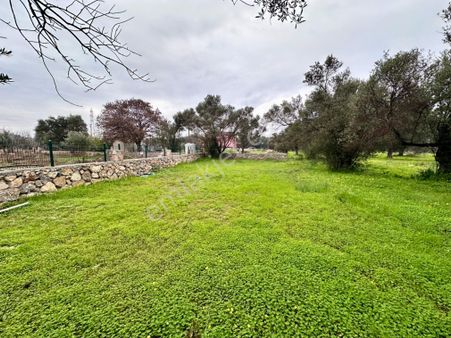 Ela Emlak'tan Datca Kızlan Köyünde Satılık 365 M2 İncirlik