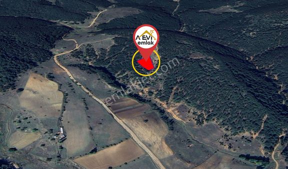 Kütahya Aslanapa Tokul 2217m2 Satılık Tarla