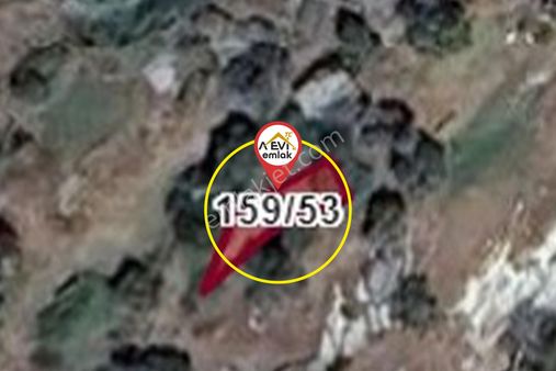 Muğla-milas-sakarkaya-satılık-39m2bahçe