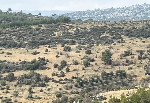 Türe Gayrimenkulden Gülnar Ulupınarda Satılık 35 Dönüm Tarla