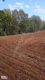 Ahilerde Doğa Harikası Bir Konumda Eşsiz Fırsat Fiyata Tarla