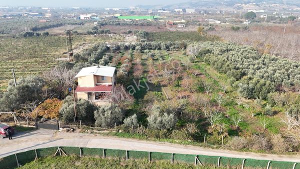 Kemalpaşa Armutlu Satılık 1.787 M2 Bahçe