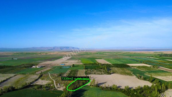 Gama Gayrimenkul'den Afyon Sultandağında Kiraz Bahçesi