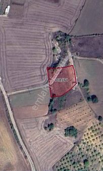 Bursa İnegöl Aşağıballık Köyünde 2300m2 Arazi İçinde Konteyner Yapı Bulunan Satılık Arazi