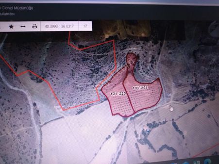 Satılık Ceviz Tarlası Anas Emlak Tan